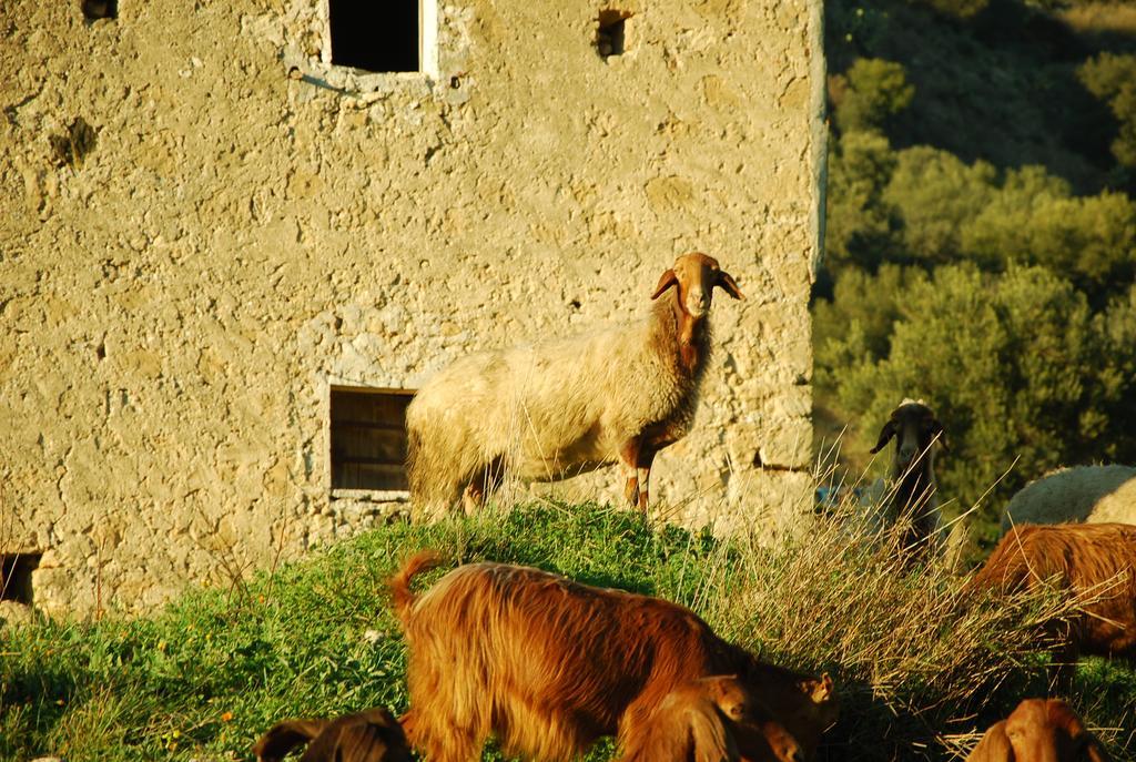 Experience Il Paesino Hotell Licodia Eubea Exteriör bild